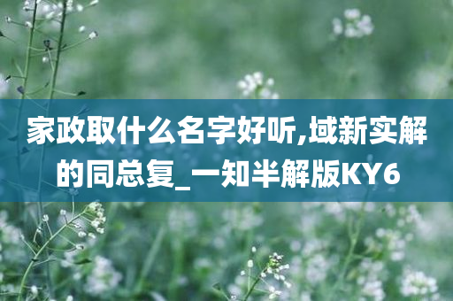 家政取什么名字好听,域新实解的同总复_一知半解版KY6