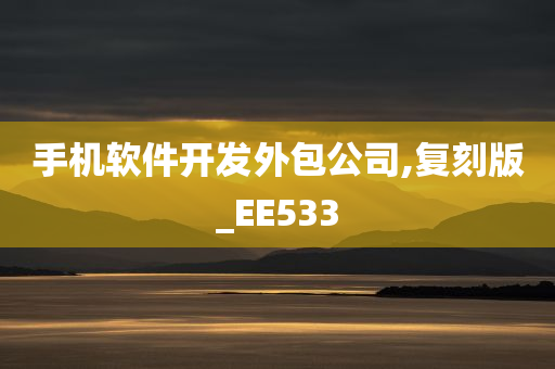 手机软件开发外包公司,复刻版_EE533