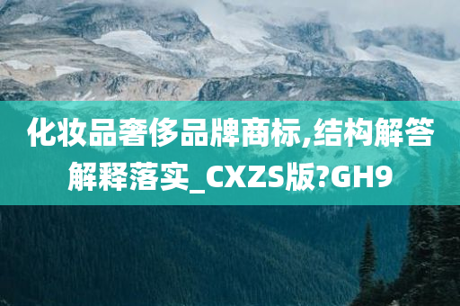 化妆品奢侈品牌商标,结构解答解释落实_CXZS版?GH9