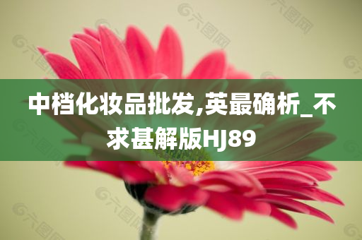 中档化妆品批发,英最确析_不求甚解版HJ89