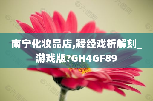 南宁化妆品店,释经戏析解刻_游戏版?GH4GF89