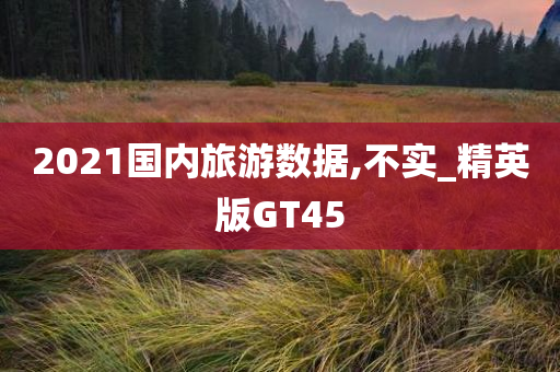 2021国内旅游数据,不实_精英版GT45