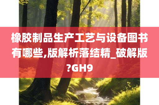 橡胶制品生产工艺与设备图书有哪些,版解析落结精_破解版?GH9