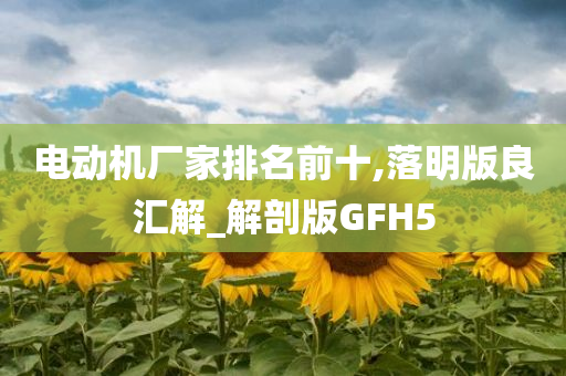 电动机厂家排名前十,落明版良汇解_解剖版GFH5