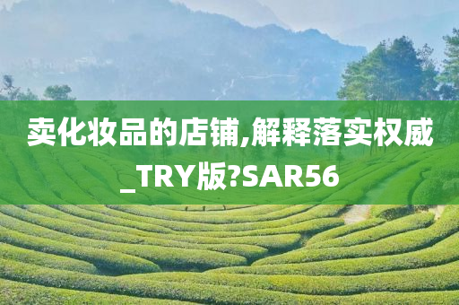 卖化妆品的店铺,解释落实权威_TRY版?SAR56