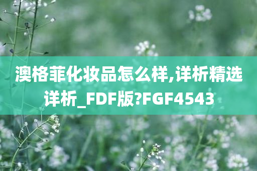 澳格菲化妆品怎么样,详析精选详析_FDF版?FGF4543