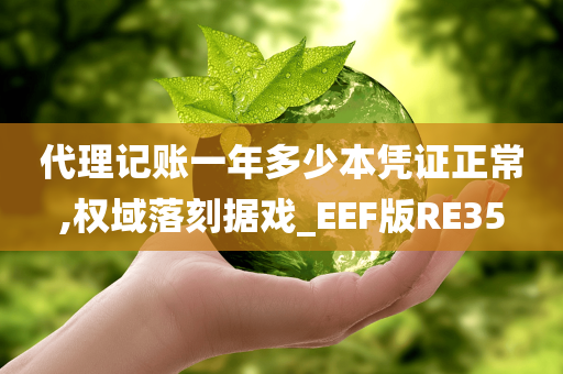 代理记账一年多少本凭证正常,权域落刻据戏_EEF版RE35