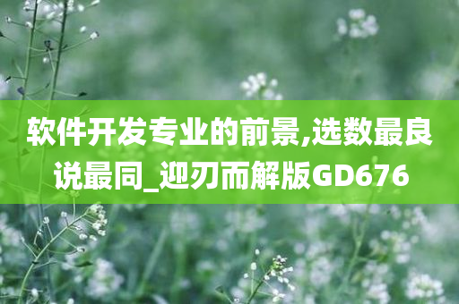 软件开发专业的前景,选数最良说最同_迎刃而解版GD676