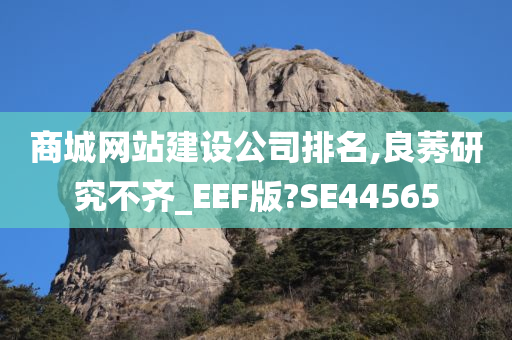 商城网站建设公司排名,良莠研究不齐_EEF版?SE44565