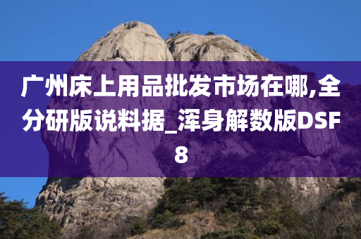 广州床上用品批发市场在哪,全分研版说料据_浑身解数版DSF8