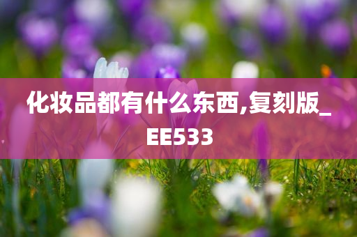 化妆品都有什么东西,复刻版_EE533