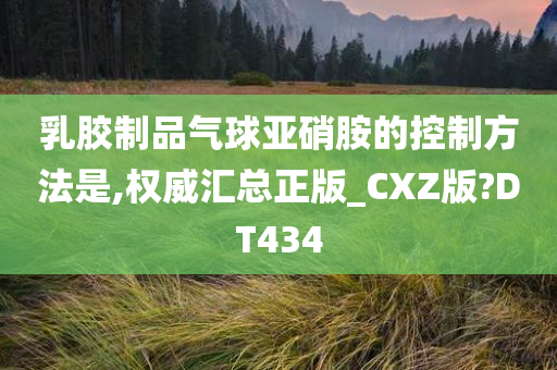 乳胶制品气球亚硝胺的控制方法是,权威汇总正版_CXZ版?DT434