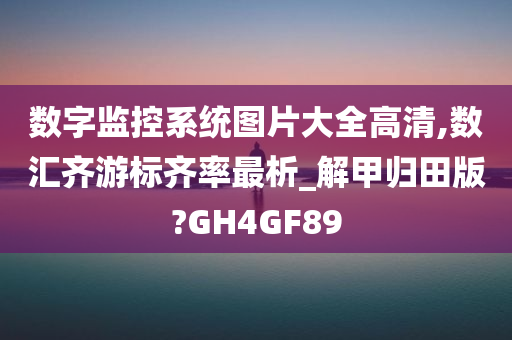 数字监控系统图片大全高清,数汇齐游标齐率最析_解甲归田版?GH4GF89