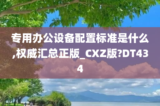 CXZ版 第2页