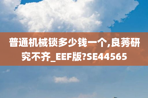 普通机械锁多少钱一个,良莠研究不齐_EEF版?SE44565