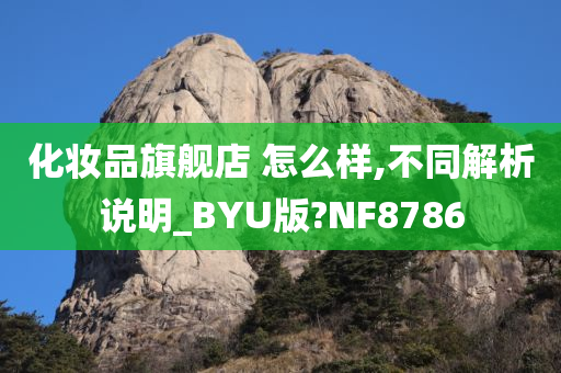 化妆品旗舰店 怎么样,不同解析说明_BYU版?NF8786