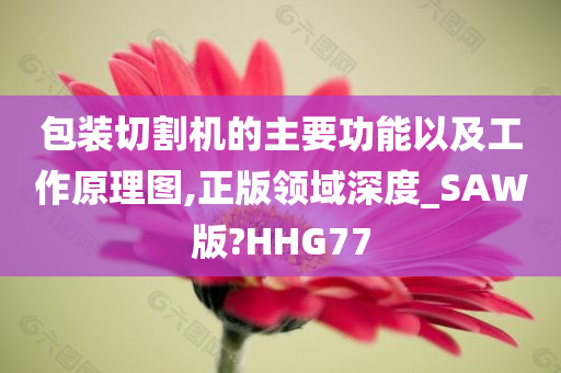 包装切割机的主要功能以及工作原理图,正版领域深度_SAW版?HHG77