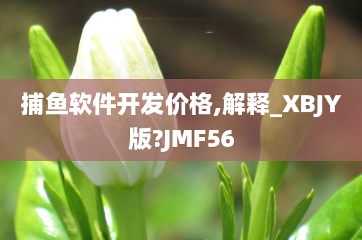 捕鱼软件开发价格,解释_XBJY版?JMF56