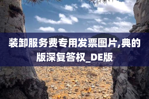 装卸服务费专用发票图片,典的版深复答权_DE版