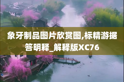 象牙制品图片欣赏图,标精游据答明释_解释版XC76