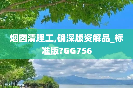 烟囱清理工,确深版资解品_标准版?GG756