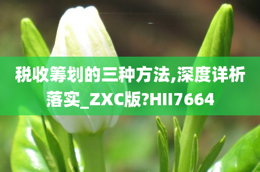 税收筹划的三种方法,深度详析落实_ZXC版?HII7664