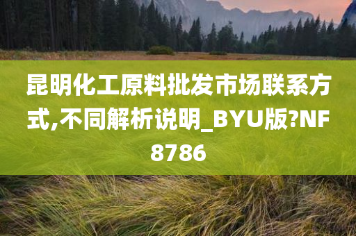 昆明化工原料批发市场联系方式,不同解析说明_BYU版?NF8786