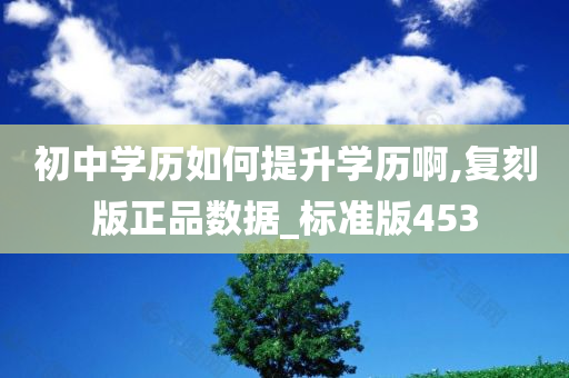 初中学历如何提升学历啊,复刻版正品数据_标准版453