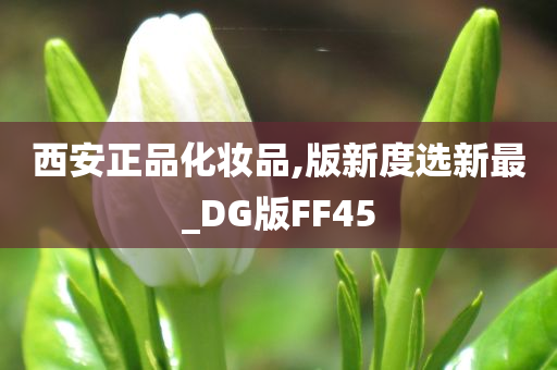 西安正品化妆品,版新度选新最_DG版FF45