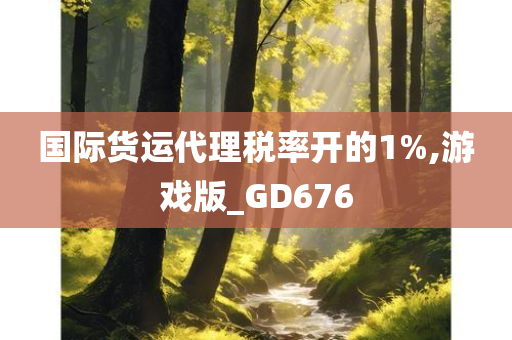 国际货运代理税率开的1%,游戏版_GD676