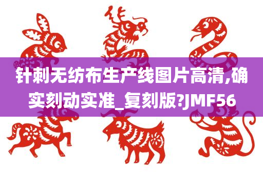 针刺无纺布生产线图片高清,确实刻动实准_复刻版?JMF56