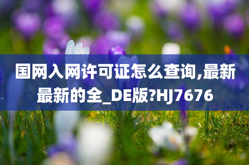 国网入网许可证怎么查询,最新最新的全_DE版?HJ7676