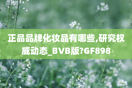 正品品牌化妆品有哪些,研究权威动态_BVB版?GF898