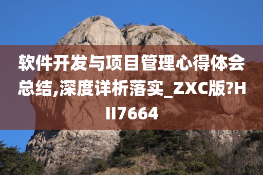 软件开发与项目管理心得体会总结,深度详析落实_ZXC版?HII7664