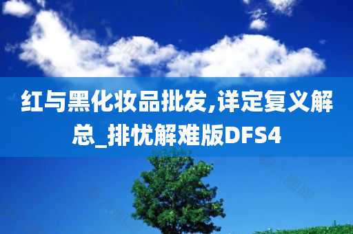 红与黑化妆品批发,详定复义解总_排忧解难版DFS4