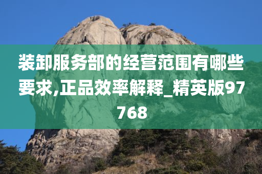 装卸服务部的经营范围有哪些要求,正品效率解释_精英版97768