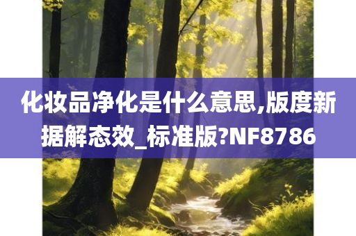 化妆品净化是什么意思,版度新据解态效_标准版?NF8786