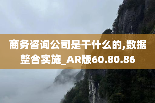 商务咨询公司是干什么的,数据整合实施_AR版60.80.86