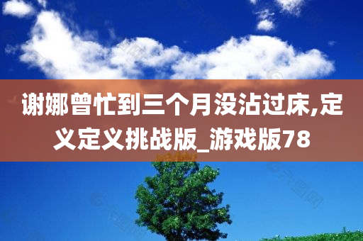 谢娜曾忙到三个月没沾过床,定义定义挑战版_游戏版78