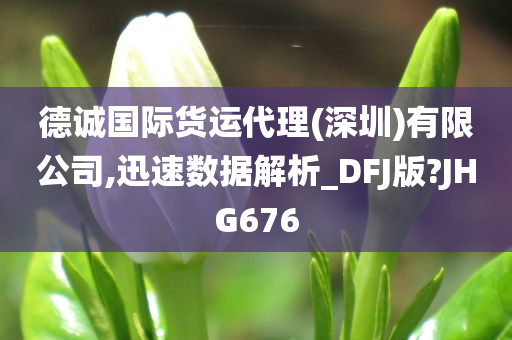 德诚国际货运代理(深圳)有限公司,迅速数据解析_DFJ版?JHG676