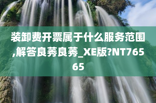 装卸费开票属于什么服务范围,解答良莠良莠_XE版?NT76565