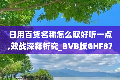 日用百货名称怎么取好听一点,效战深释析究_BVB版GHF87