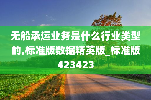 无船承运业务是什么行业类型的,标准版数据精英版_标准版423423