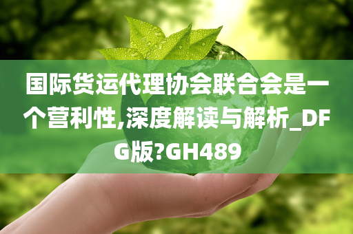 国际货运代理协会联合会是一个营利性,深度解读与解析_DFG版?GH489