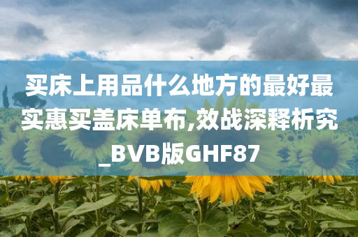 买床上用品什么地方的最好最实惠买盖床单布,效战深释析究_BVB版GHF87