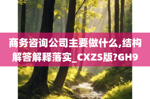 商务咨询公司主要做什么,结构解答解释落实_CXZS版?GH9