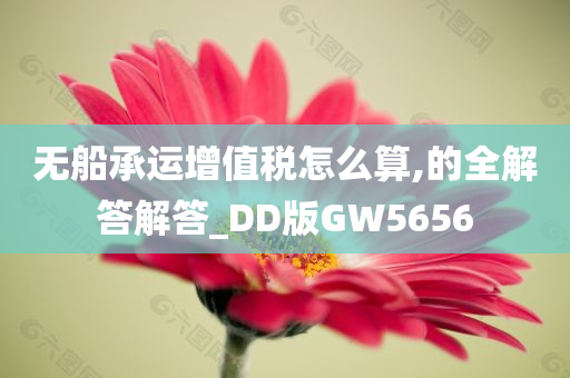 无船承运增值税怎么算,的全解答解答_DD版GW5656