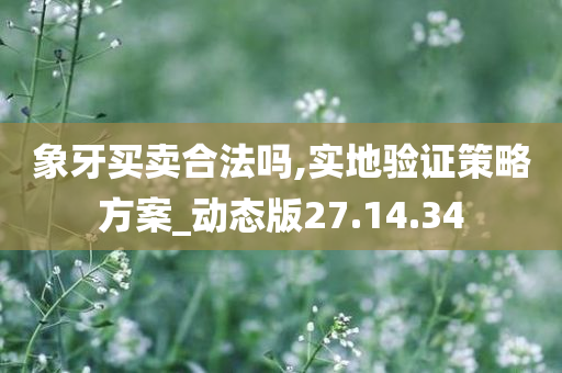 象牙买卖合法吗,实地验证策略方案_动态版27.14.34