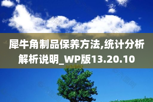 犀牛角制品保养方法,统计分析解析说明_WP版13.20.10