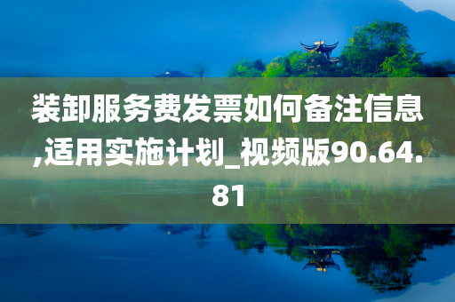 装卸服务费发票如何备注信息,适用实施计划_视频版90.64.81